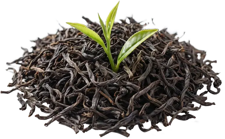 Assam Tea from Assam