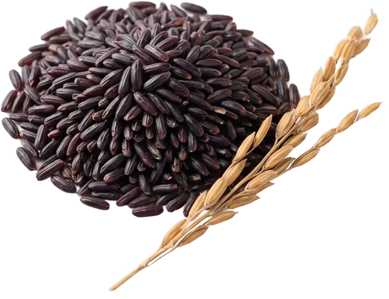 Black Rice from Manipur