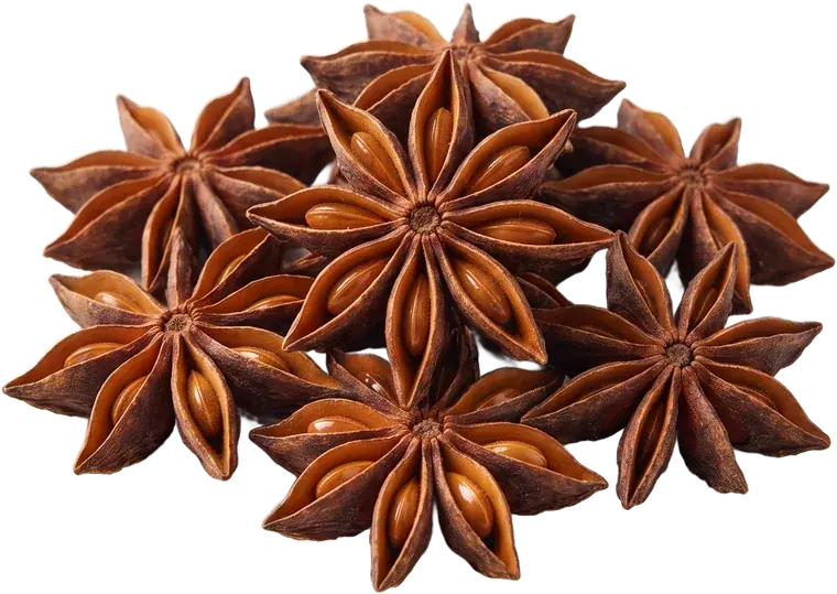 Star Anise from Arunachal Pradesh