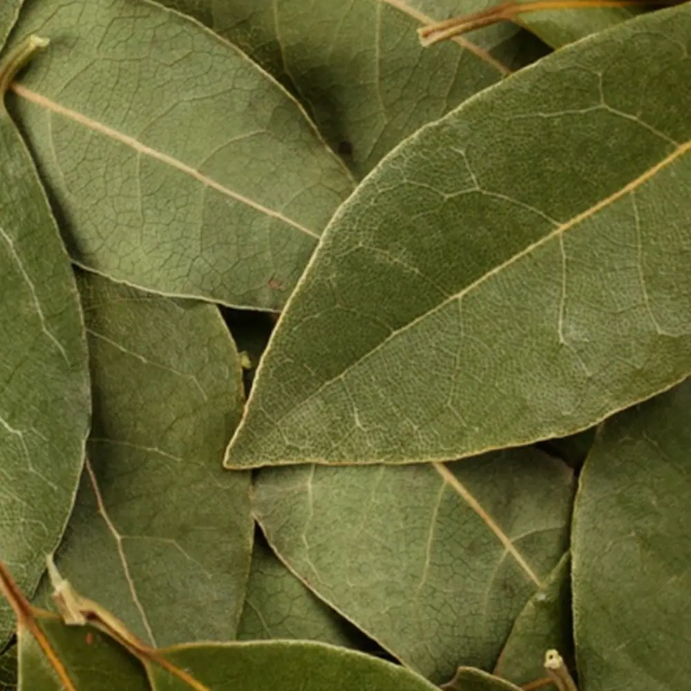 Dried whole bay leaves