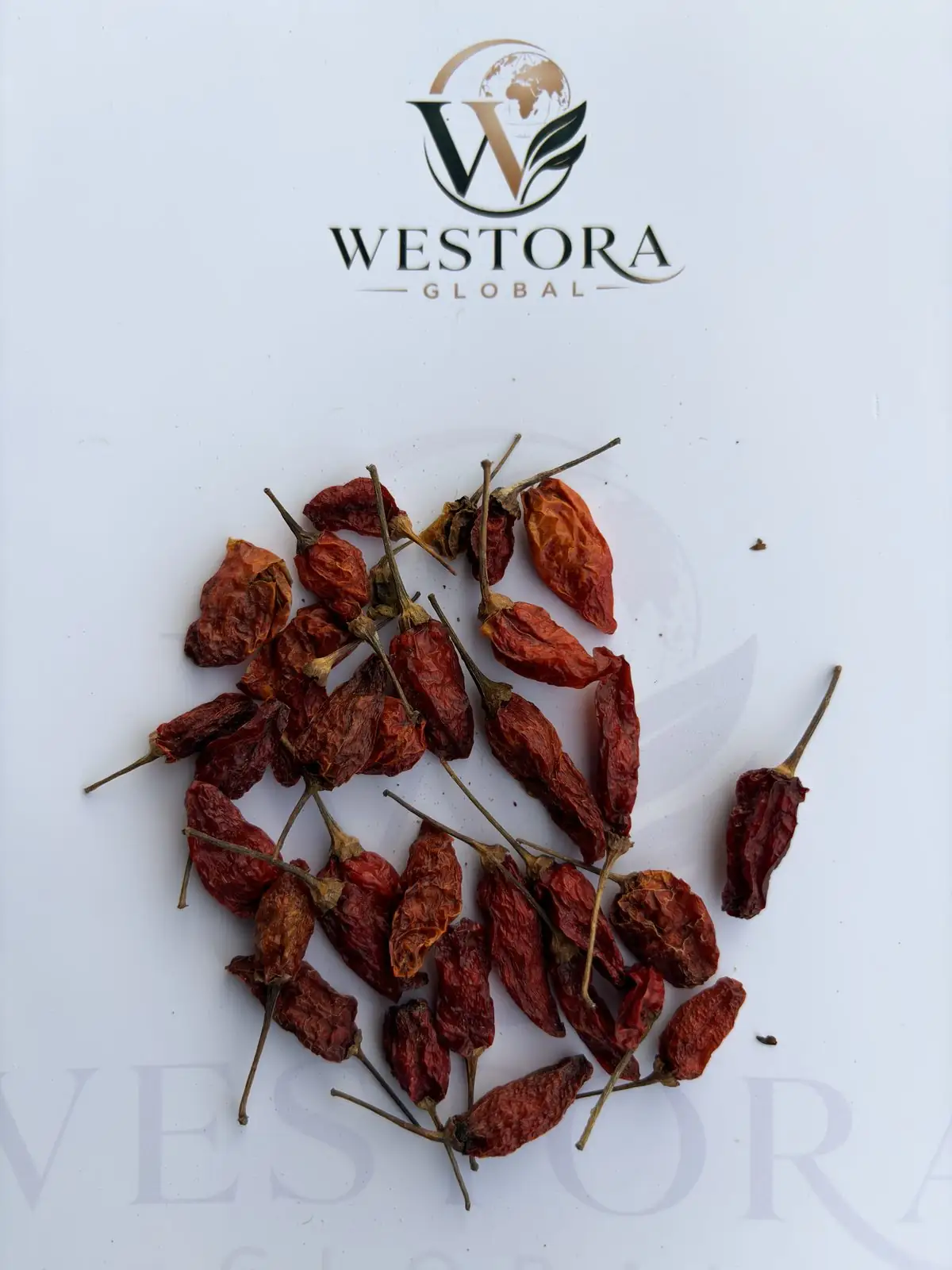 干辣椒及果柄特写 — Close-up of dried Bird's Eye Chilli pods with stems from Mizoram