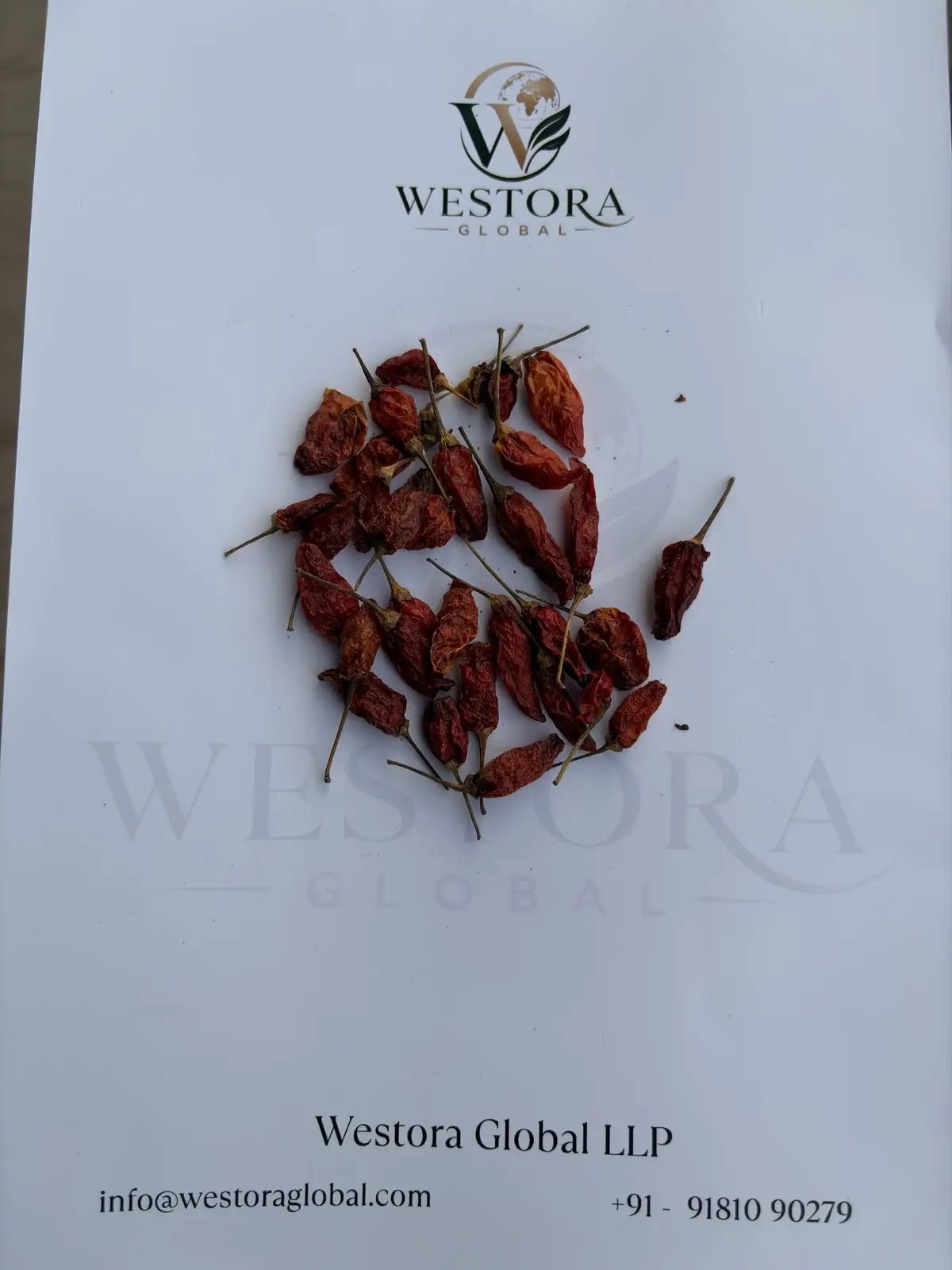 干朝天椒 — 样品批次 — Dried red Bird's Eye Chilli (Mizo chilli) pods with stems on a Westora Global sample sheet