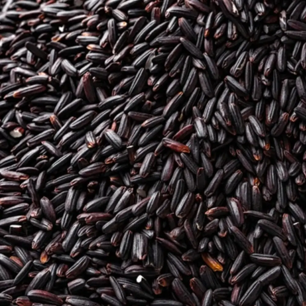 Chak-Hao black rice grains