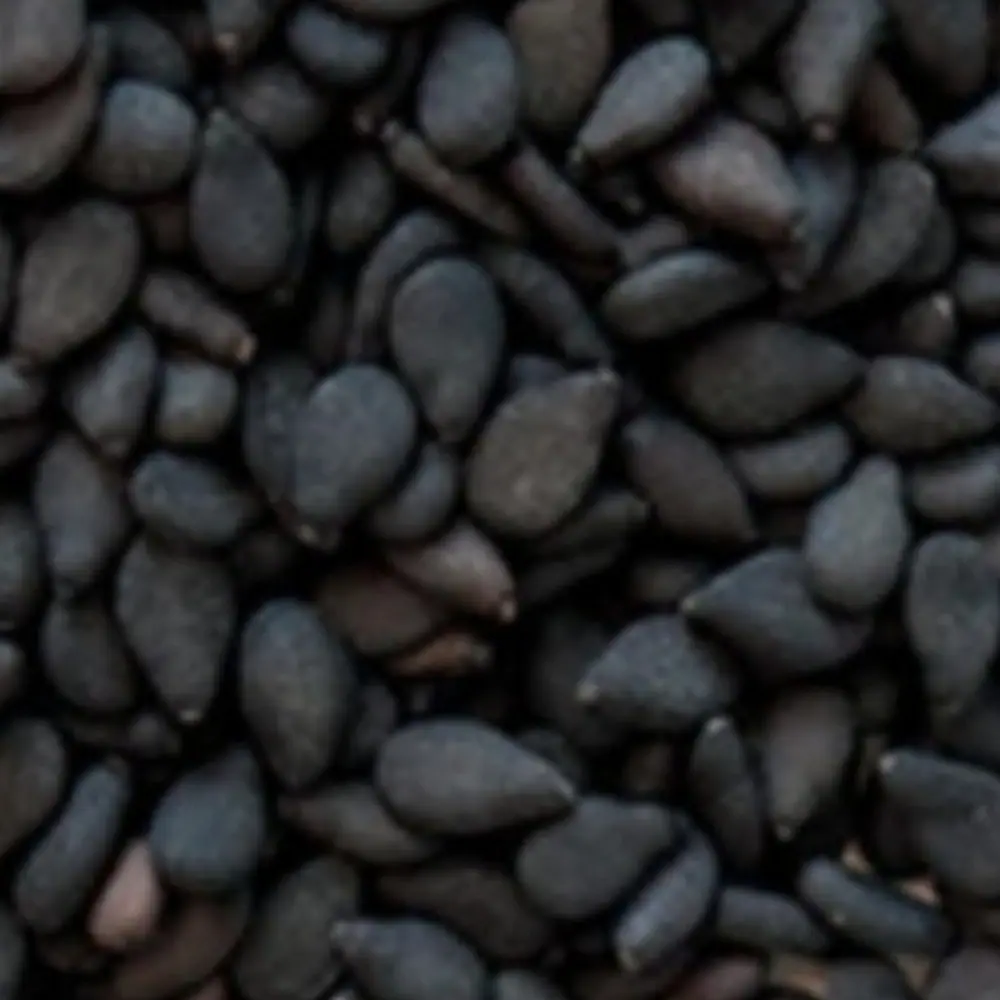 Whole black sesame seeds