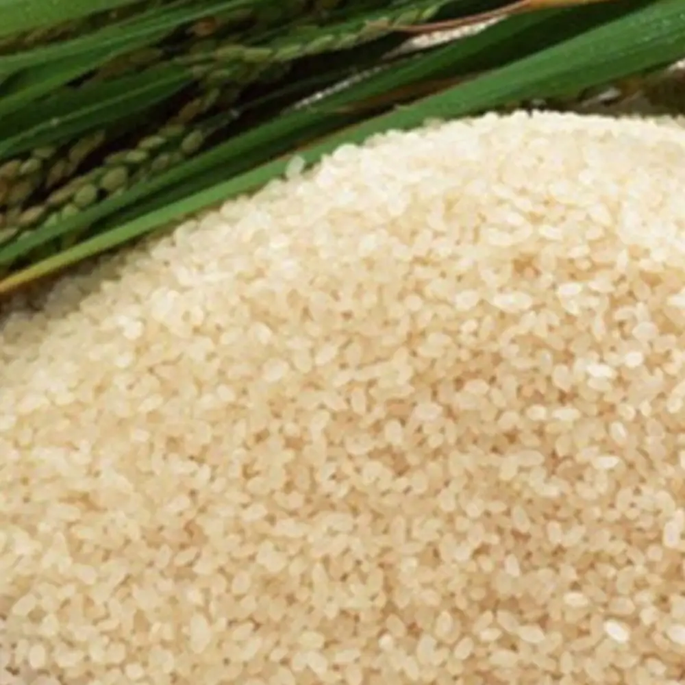 Joha rice grains with rice stalks