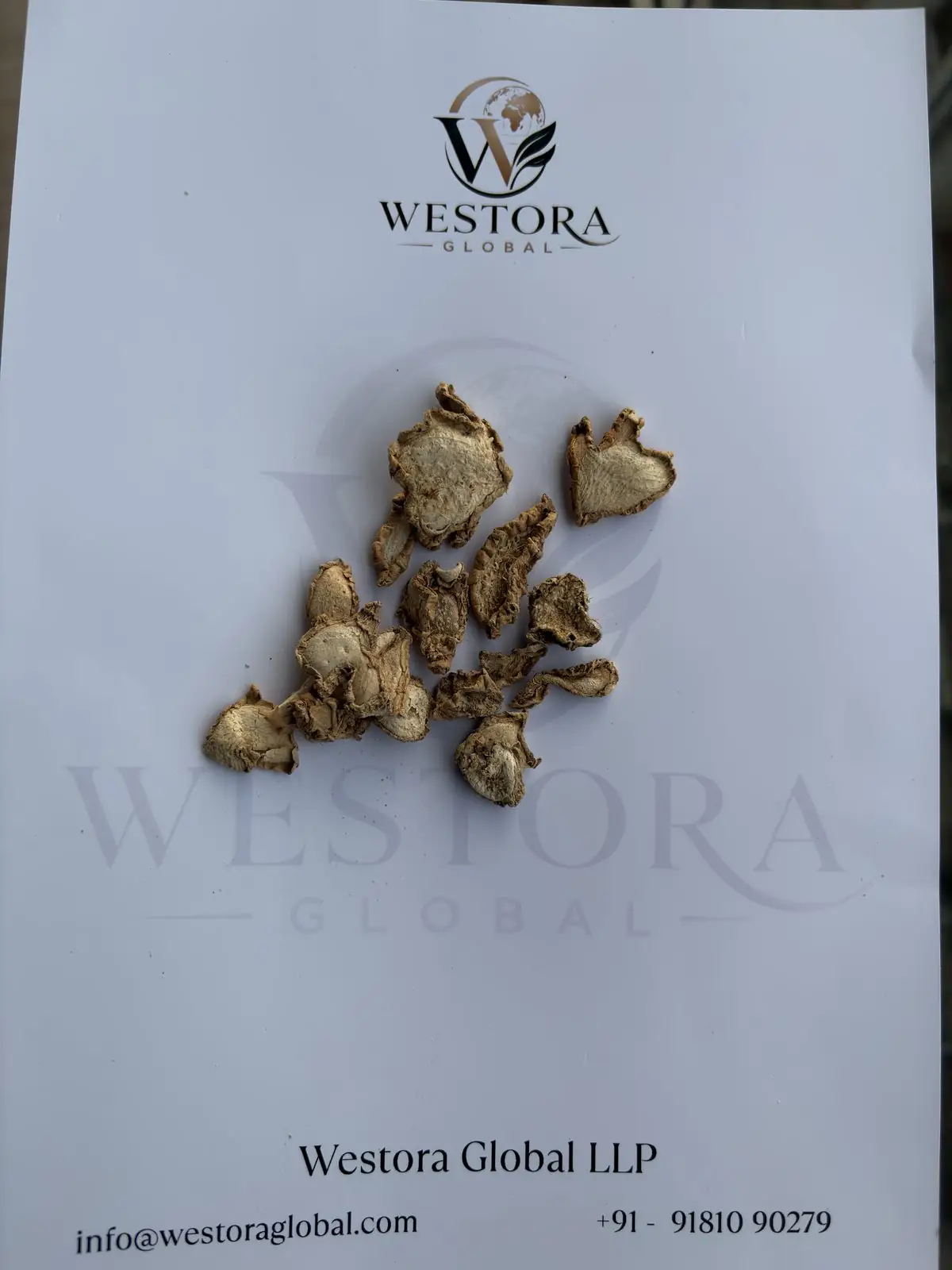 Dried ginger slices from Karbi Anglong, Assam, on a Westora Global sample sheet