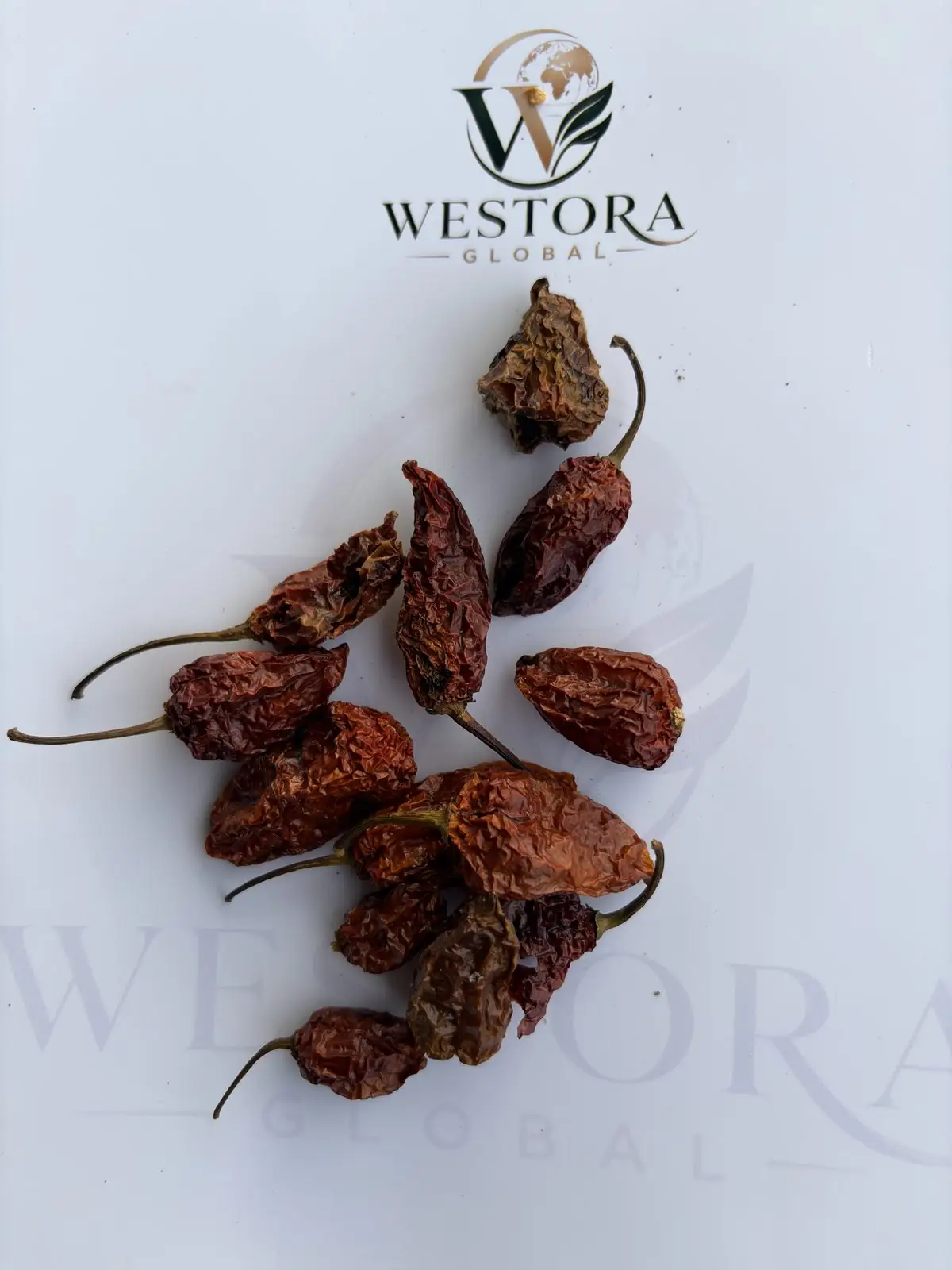 Close-up of dried, wrinkled Bhut Jolokia ghost pepper pods