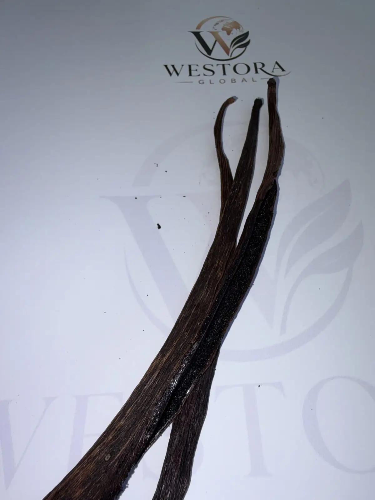Close-up of a cured vanilla pod showing oily skin and deep brown colour