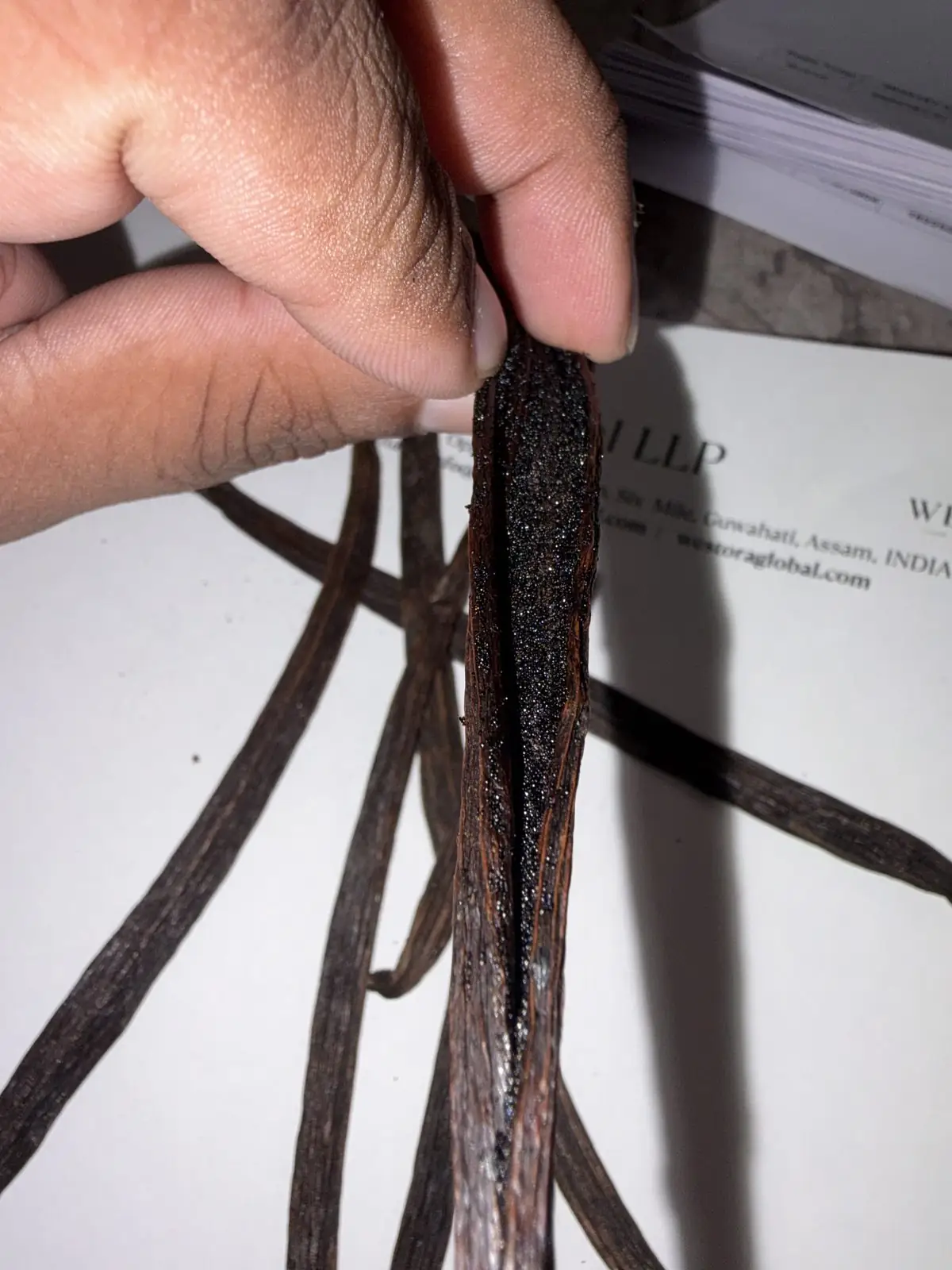 Cured vanilla pod split open by hand showing moist black vanilla seeds (caviar)