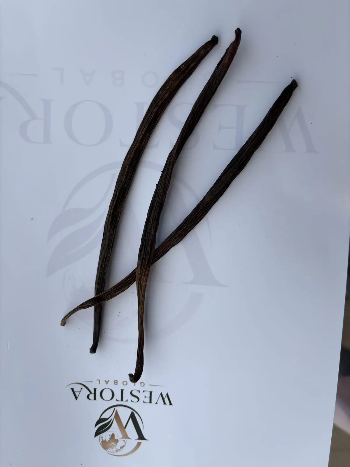 Long dark cured vanilla pods from Northeast India showing length and colour