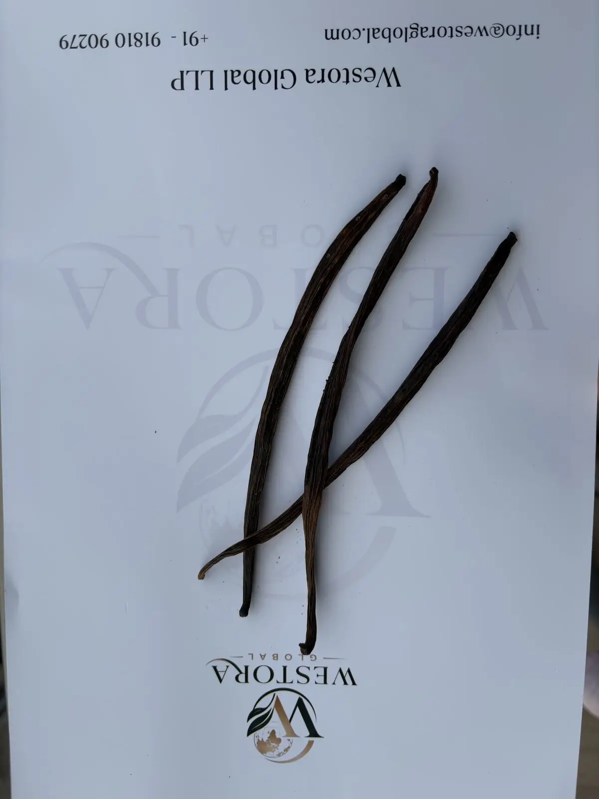 Whole cured vanilla beans laid on a Westora Global sample sheet